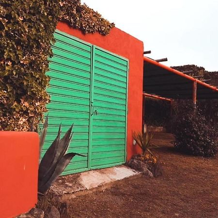 Tenuta Di Pontesodo Монталто ди Кастро Екстериор снимка