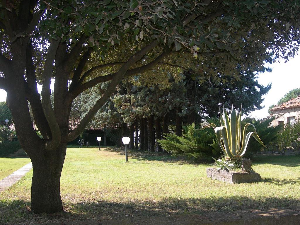 Tenuta Di Pontesodo Монталто ди Кастро Екстериор снимка