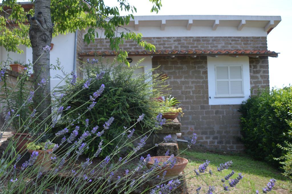 Tenuta Di Pontesodo Монталто ди Кастро Екстериор снимка