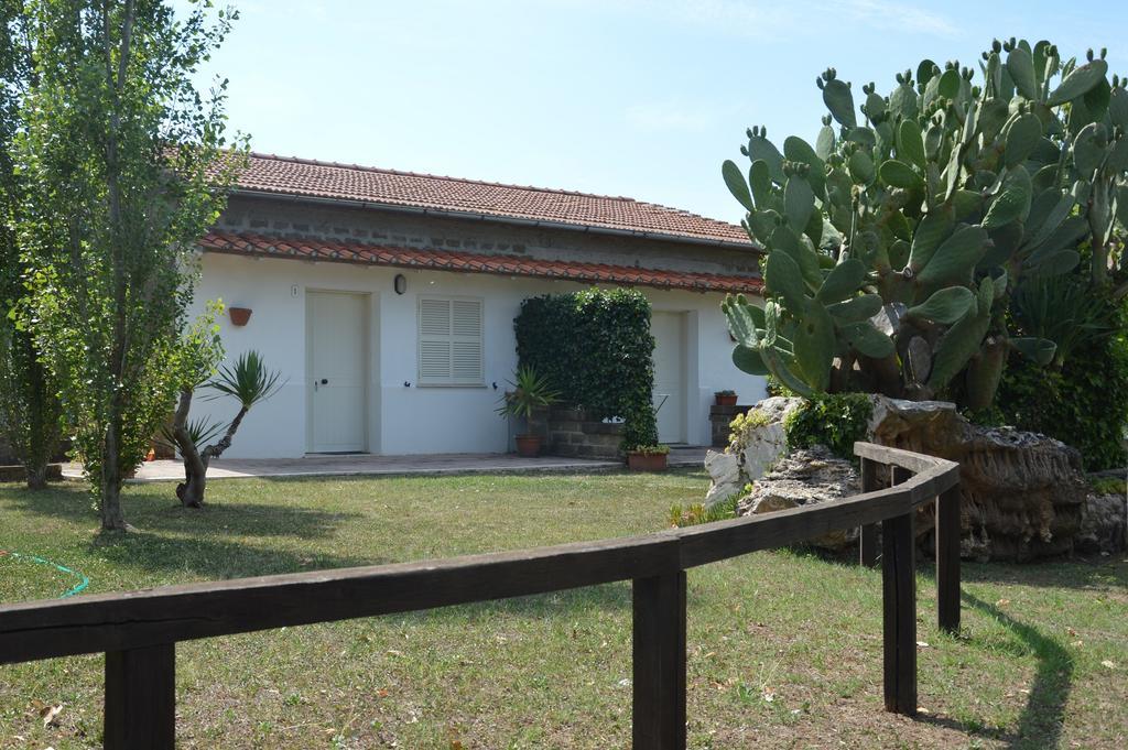Tenuta Di Pontesodo Монталто ди Кастро Екстериор снимка
