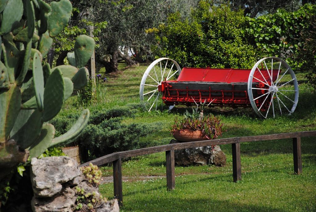Tenuta Di Pontesodo Монталто ди Кастро Екстериор снимка