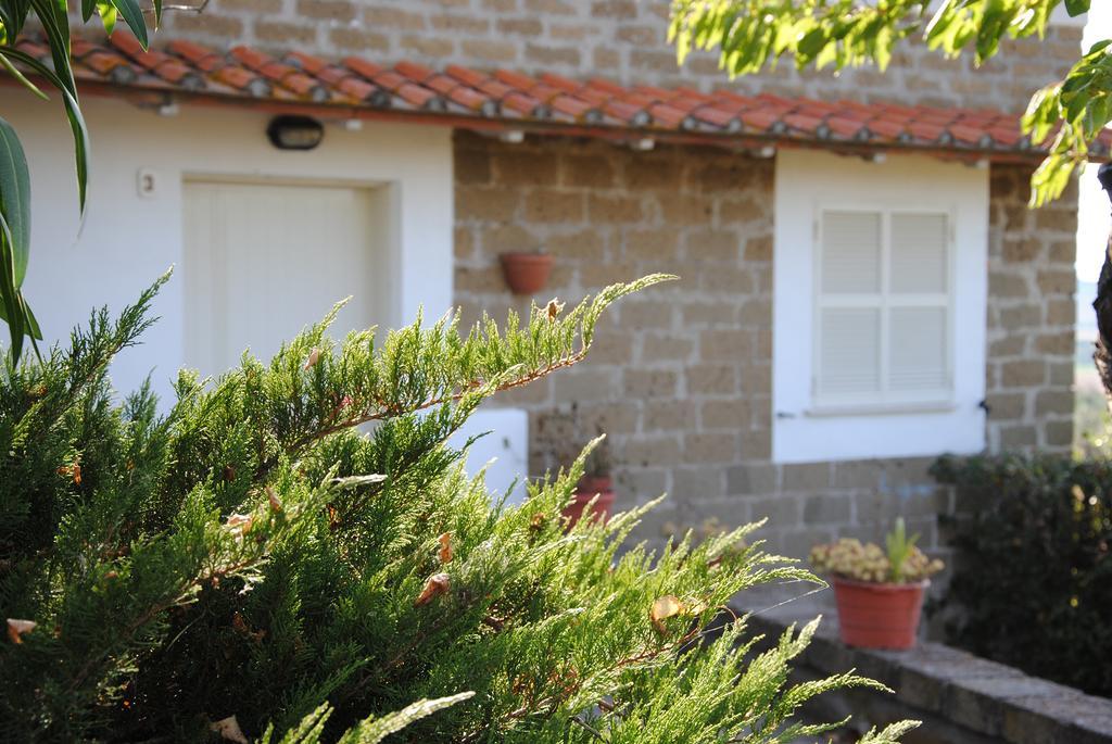 Tenuta Di Pontesodo Монталто ди Кастро Екстериор снимка