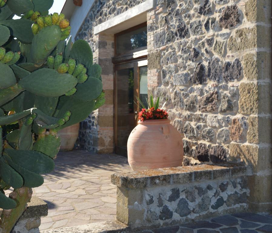 Tenuta Di Pontesodo Монталто ди Кастро Екстериор снимка