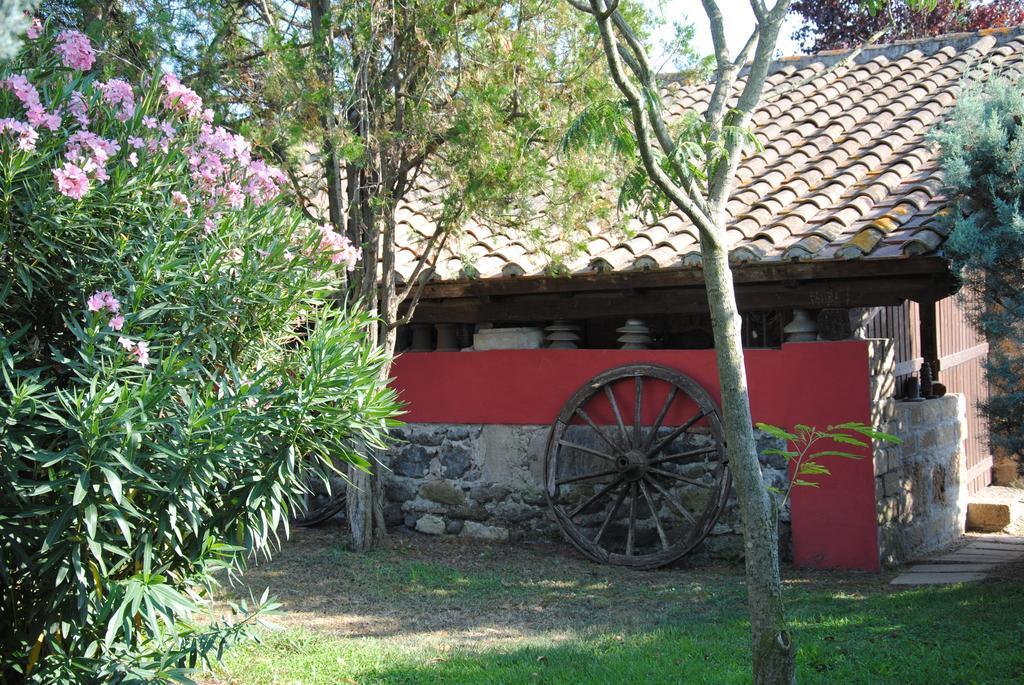 Tenuta Di Pontesodo Монталто ди Кастро Екстериор снимка